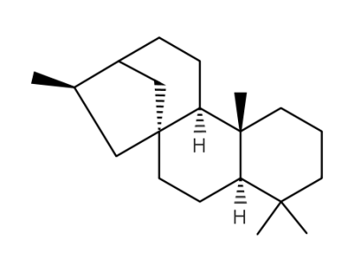 phyllocladene